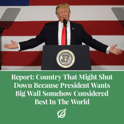 theonion:  WASHINGTON—A new report released Tuesday by the