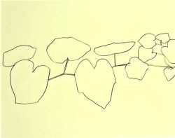 vuls:  Ellsworth KellyPlant Drawings, 1992