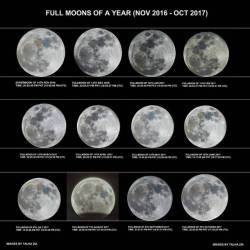 A Year of Full Moons #nasa #apod #fullmoon #moon #satellite #solarsystem