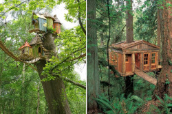 ladyinterior:  Via Architecture Art Design, TreeHouse Point, Sonic