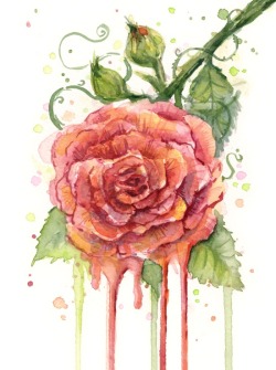 artagainstsociety:    Watercolor Rose by Olechka  