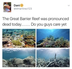 earlgraytay:  overlyygayy:  So the Great Barrier Reef was pronounced