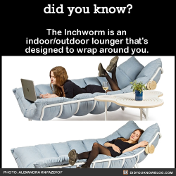 youngblackandvegan:  did-you-kno:  The Inchworm is an  indoor/outdoor