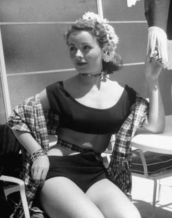 damsellover:  Jeanne Crain