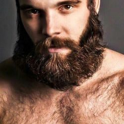 beardoilco:  BEARd of the day www.BEARdOilCo.com #BEARdOilCo