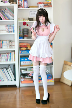 lovesuckle:  meido-kafe:  -写真は、正当な所有者に属します-