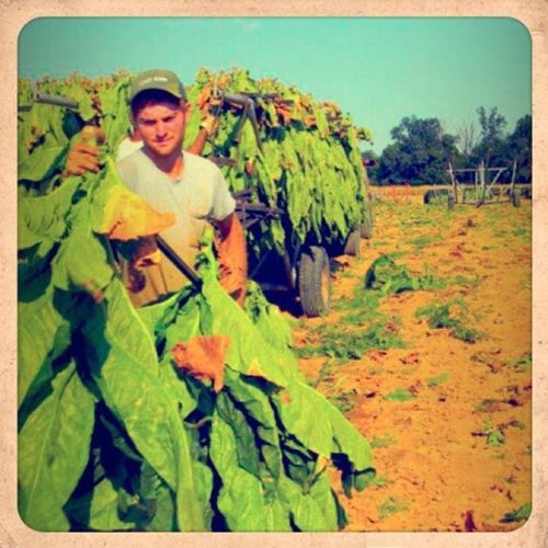 <p>#tbt to a few years ago - my stepson doing his thing. Yesterday was his birthday, he just got married, and he’s generally awesome. #proudstepmom #tobaccofarmer #robertsoncounty  (at Orlinda, Tennessee)</p>