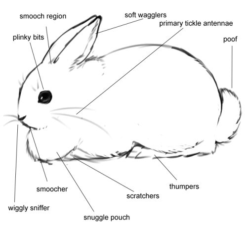 white-light-bright:  Bunny >.  