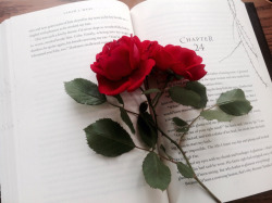 buttermybooks:  A Court of Thorns and Roses - Sarah J Maas“I