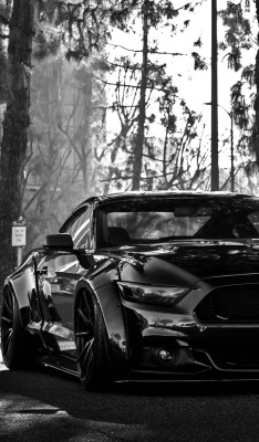 h-o-t-cars:      Ford Mustang GT S550   | Source    