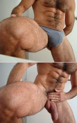 peludosyguapos:  Grande y fuerte