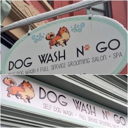 babylonian:i found a dog-washing place in Brooklyn that is straight