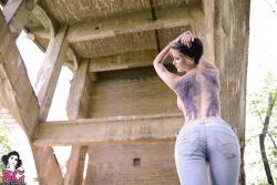 sglovexxx:  Essence Suicide in Waiting For The Sun