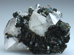 mineralists:  Rosettes of Hematite and double terminated Quartz