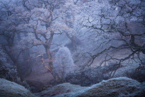expressions-of-nature:by Mark Littlejohn