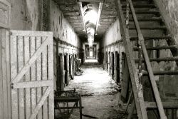 Abandoned penitentiary in Philadelphia Source: 1440ski (reddit)