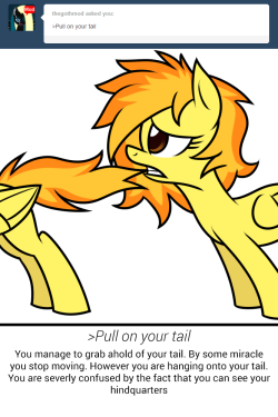 i-am-windows-pone:  ask-spitfire-thewonderbolt:  >Pull on