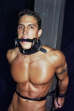 hmm lets see…. hot gorgeous stud tied up? OK!!!