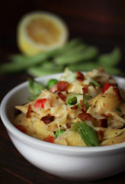 do-not-touch-my-food:  Pasta with Lemon Cream Sauce, Bacon, and