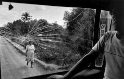 secretcinema1:   Road to Aguilares, El Salvador, 1983,   Susan