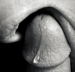 thoughtsofasubgirl:  quiet-dominant:  Daddy has some pre-cum