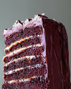 chocolateguru:  Salted-Caramel Six-Layer Chocolate Cake 