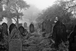 h-a-r-l-e-e-n-q-u-i-n-z-e-l-dea:  Photo: Churchyard at St. Budeaux