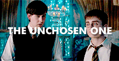 Harry Potter Tropes↳ Neville Longbottom