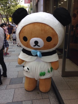 rilakkuma-desu:Panda series Rilakkuma live at Kiddyland in Harajuku!