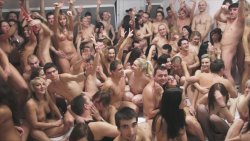 happywanks:  happy orgy !   