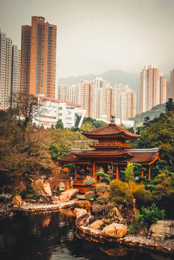 bashum:  Kowloon | Flickr