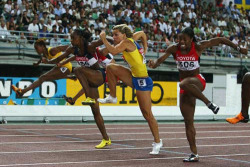 lowwbloods:  officialwillowpape:  i searched up ‘hurdlers without