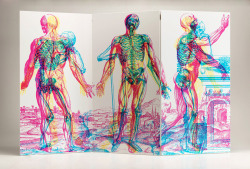 nevver:  RGB
