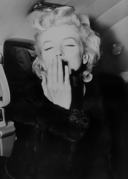 normajeaned:   Marilyn Monroe photographed in 1956.  