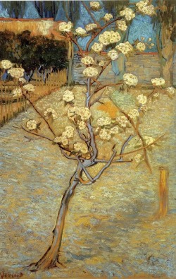 blog-de-beaux-arts:Vincent Van Gogh, Pear Tree in Blossom, 1888