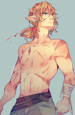 crimson-chains:  Some shirtless Link ^^And the poor Shark people