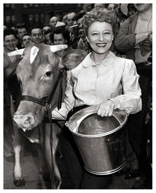   MILKING CONTEST IN MEMPHIS! Vintage press photo dated from 1952, features fan dancer Sally Rand posing with her milking contest partner.. Her opponent was Martin Zook, the manager of Memphis’ long-running ‘MID-SOUTH FAIR’.. No word