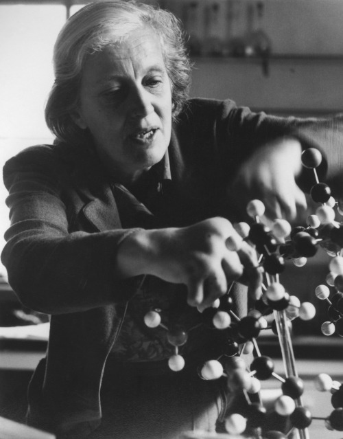 garadinervi:Dorothy Crowfoot Hodgkin, May 12, 1910 / 2022(image: