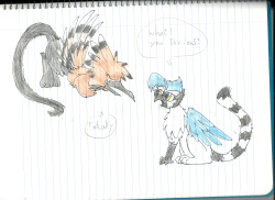 azula-griffon:  Griffin gossips :D Drew something in class, thought