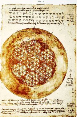 isis0isis:Leonardo da Vinci - Codex Atlanticus   (“Flower of