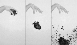 thelastthestral:  .