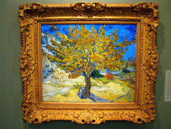 marcuscrassus:   Vincent van Gogh - The Mulberry Tree (1889)