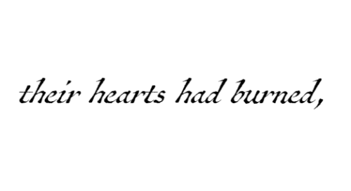 mournfulroses:    D. H. Lawrence, from “The Rainbow,” originally