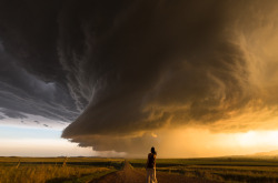 yahoonews:  Beauty and the beast A man has photographed a stunning