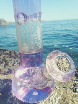 thepinkcrystal: my 4/20 was so beautiful 