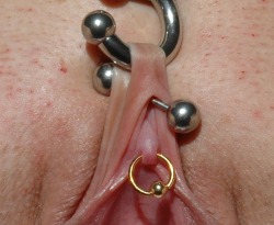 Clit and clit hood piercings.