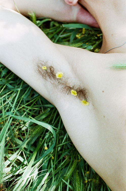 minhamemoriasuja:  “little daisies” photographed by Butu