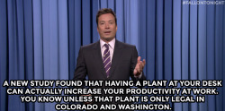 fallontonight:  - Jimmy Fallon’s Monologue; September 2, 2014