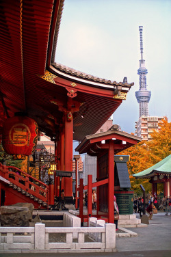 thisisnippon:  Tokyo Skytree   Asakusa Temple Senso-ji (浅草寺)