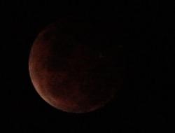   Talk about bad luck, no blood red moon this year for me,came
